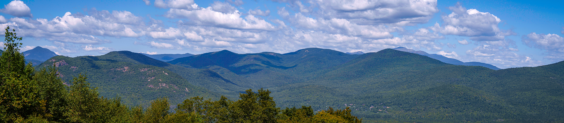 The White Mountains