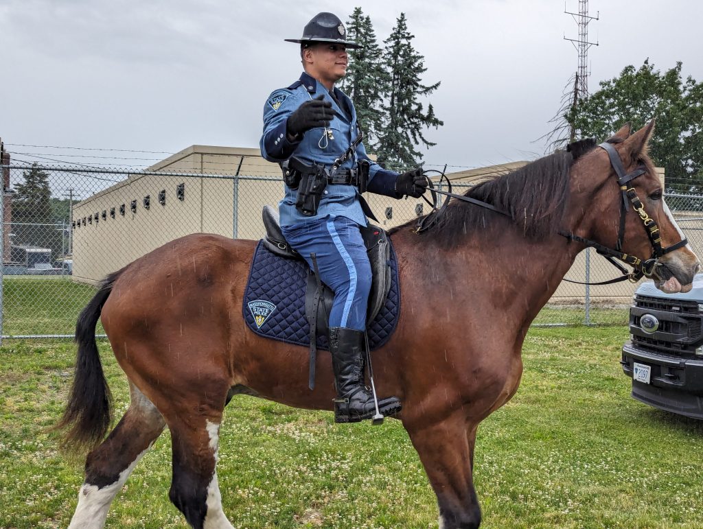 Policeman on a horse