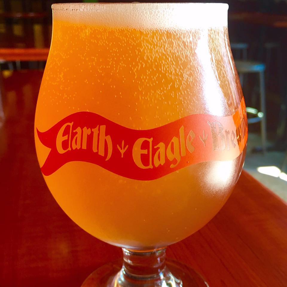 Earth-Eagle