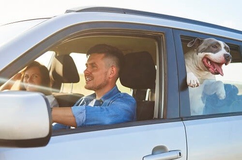family-in-car