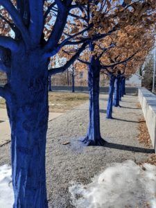 The Blue Trees at the Currier Museum in Manchester, NH